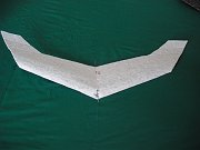2009-09-03-wallfoam_walkalong_glider