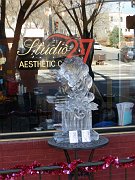2010-01-16-ice_festival