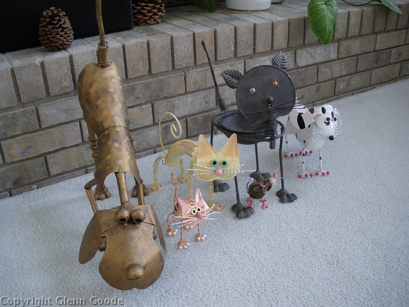 IMGP2003