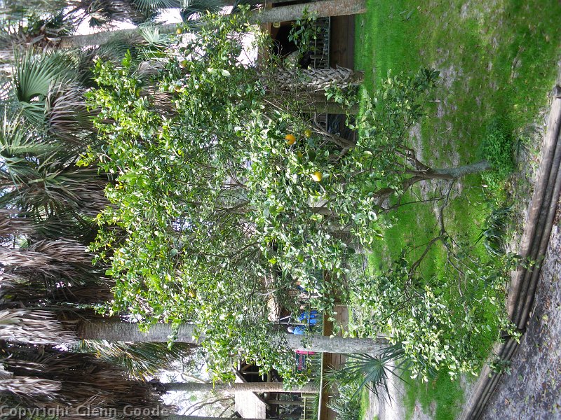 IMGP2289