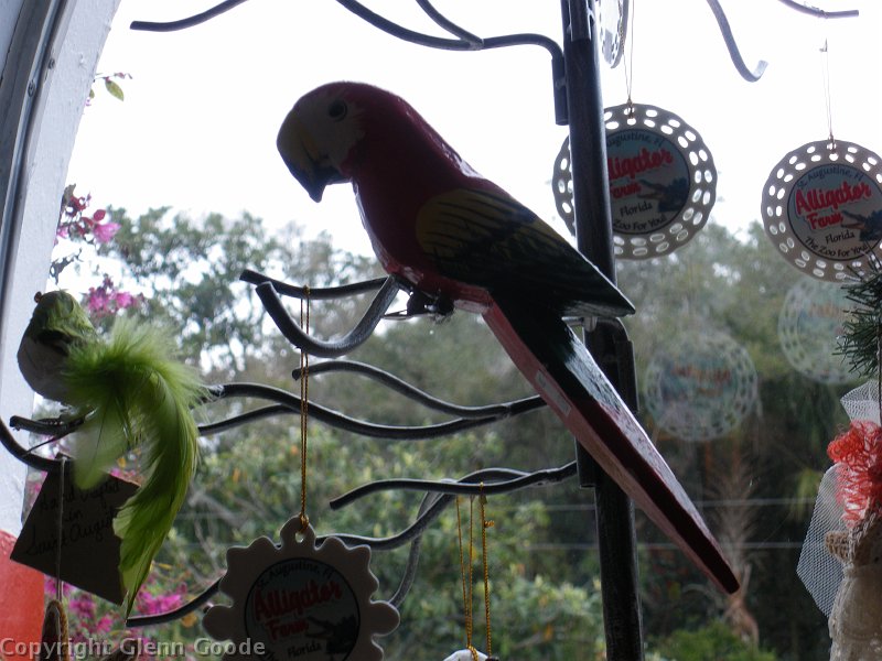 IMGP2346
