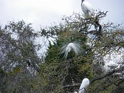 IMGP2316