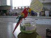 2010-03-23-polly