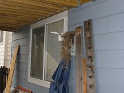 2010-04-17-birds-nest