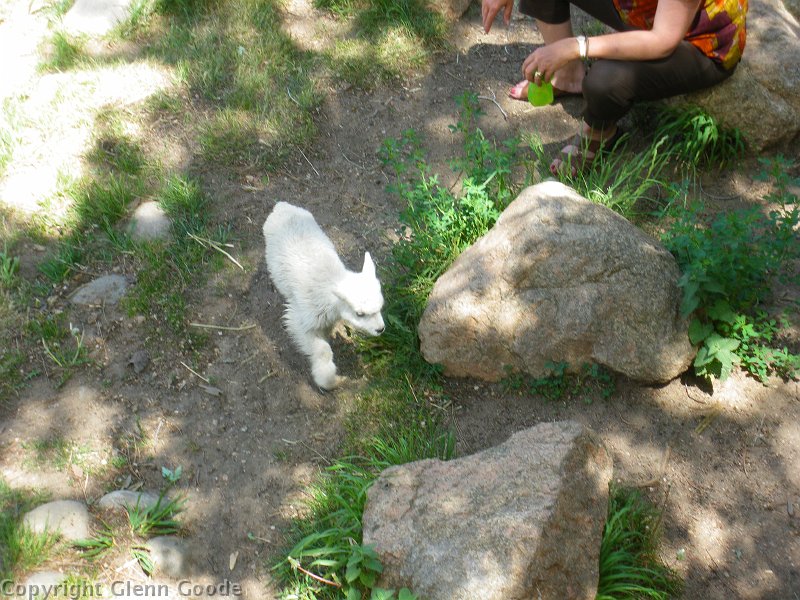 IMGP2539