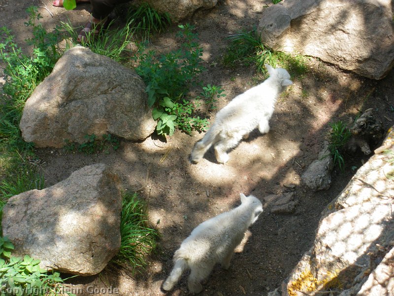 IMGP2540