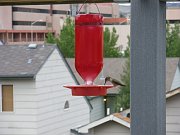2010-07-20-hummer