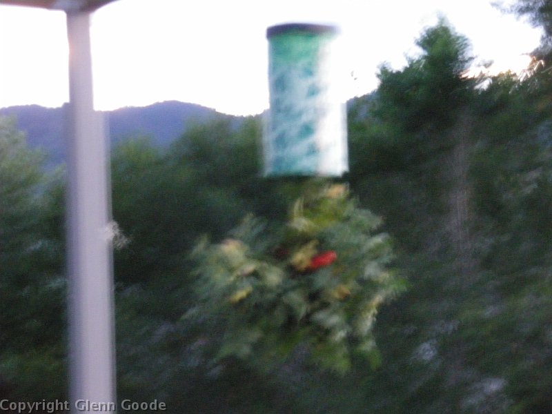 IMGP2860