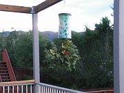 2010-07-27-garden-