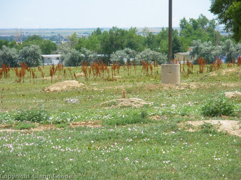 IMGP2934