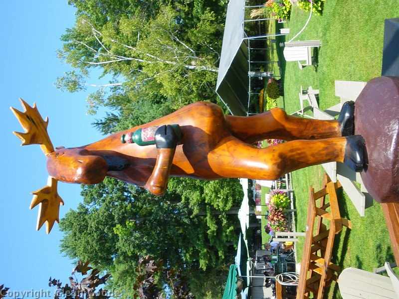 IMGP3034