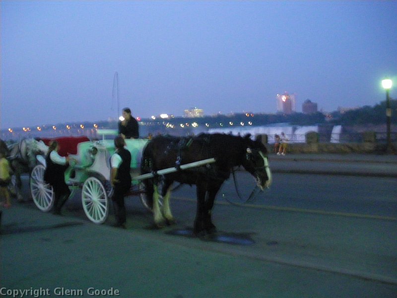 IMGP3137