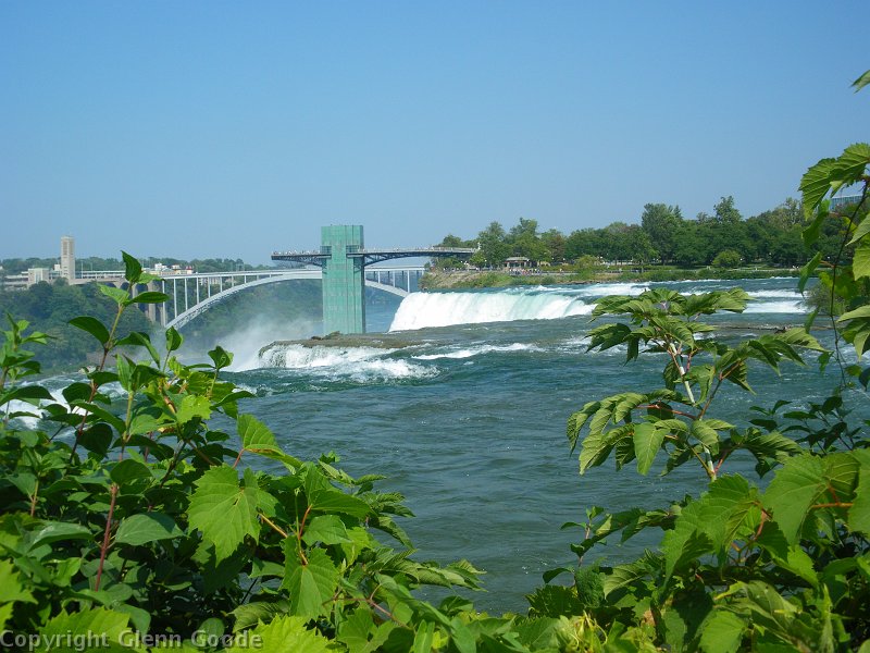 IMGP3226