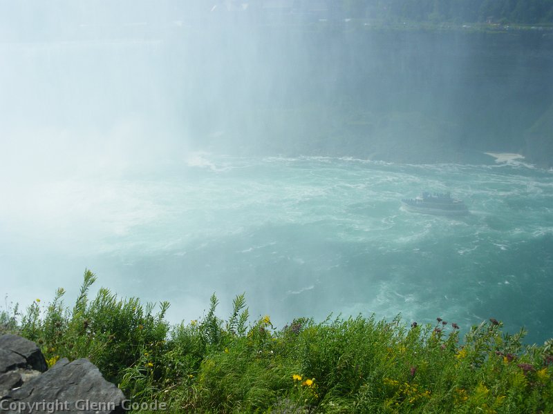 IMGP3264
