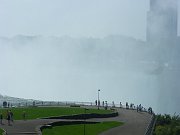 IMGP3252