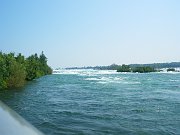 IMGP3253