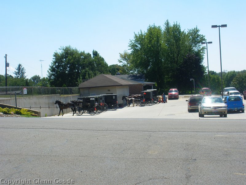 IMGP3267