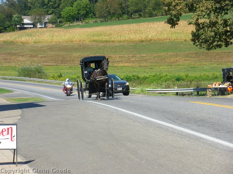 IMGP3275