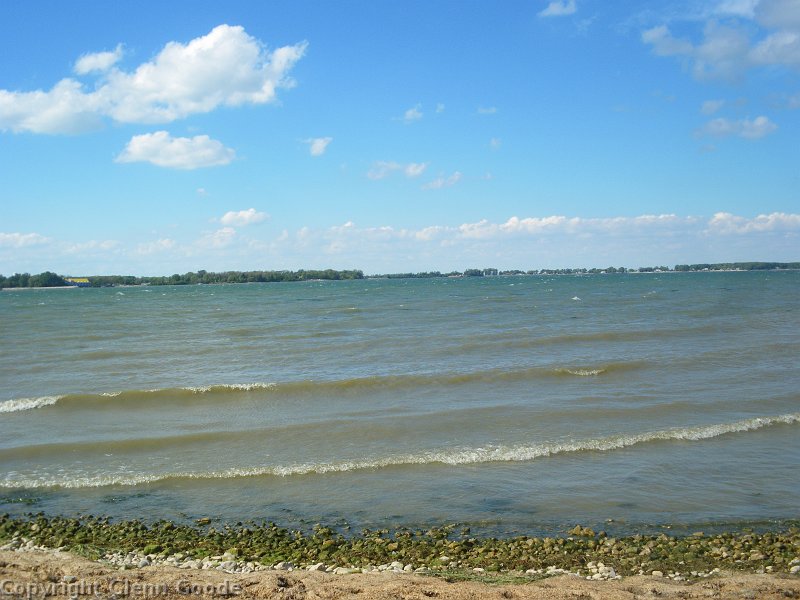 IMGP3351