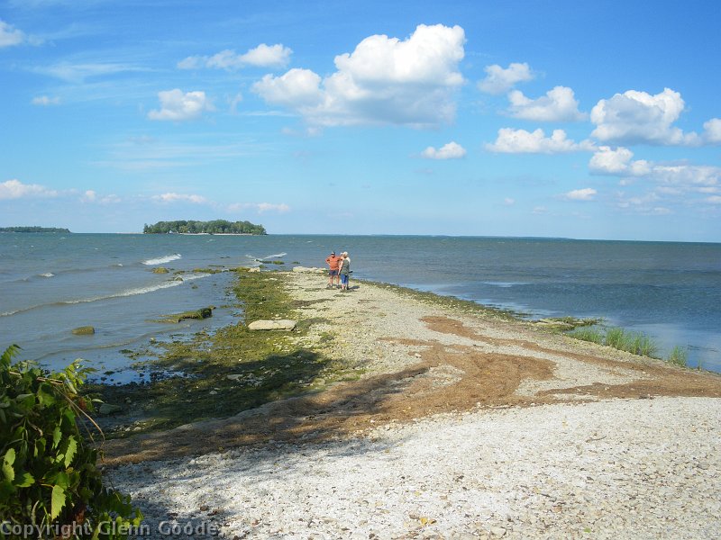IMGP3358