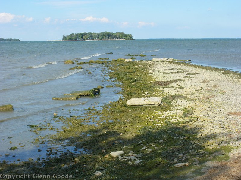 IMGP3366