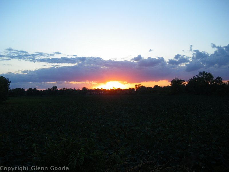 IMGP3398