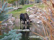 2010-10-23-zoo