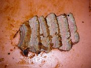2010-11-23-carne-asada