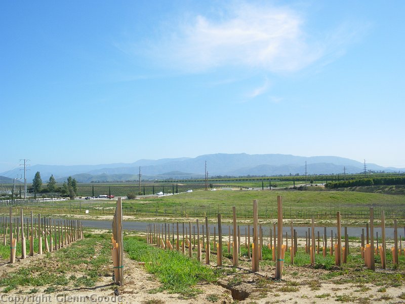 imgp4031