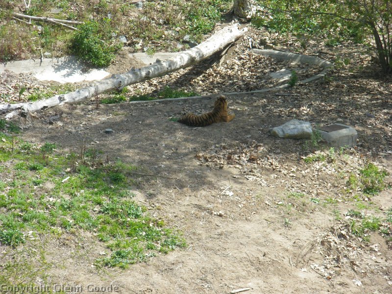 imgp4177