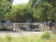 imgp4263