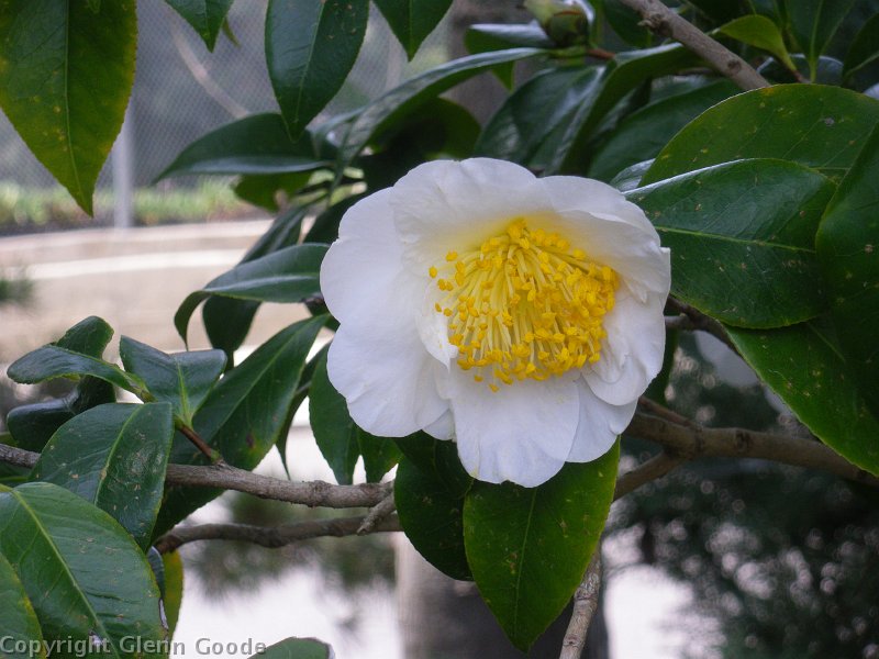 imgp4364