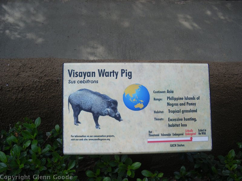 imgp4436