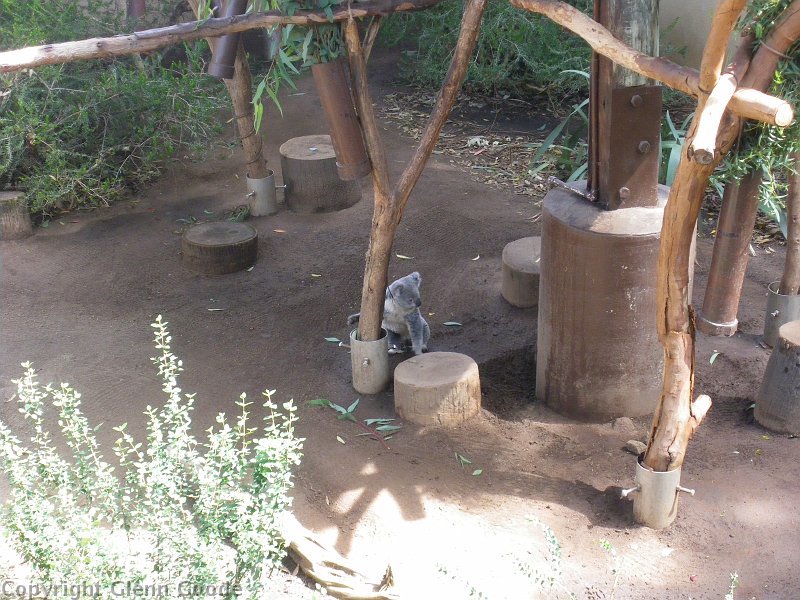 imgp4447