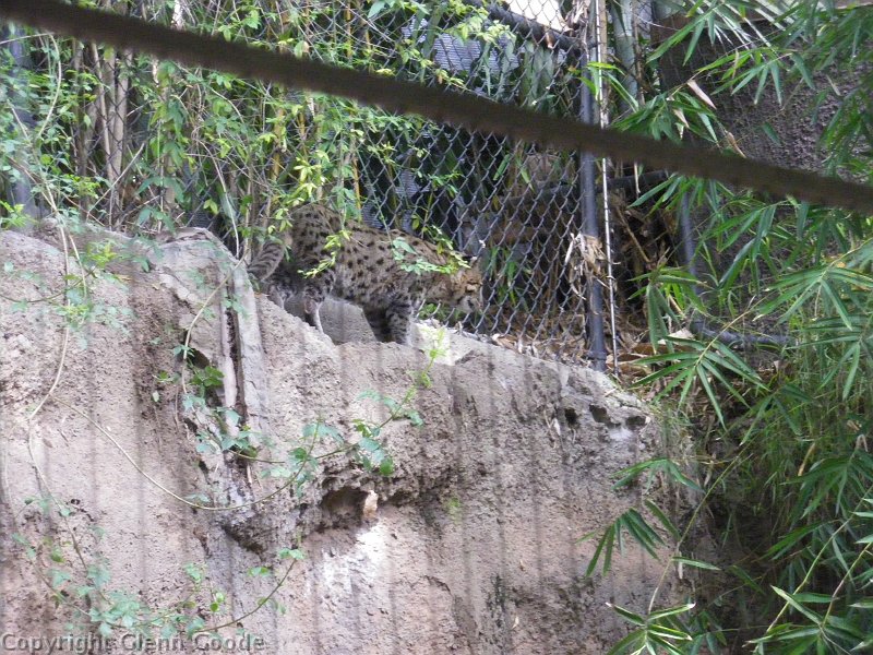 imgp4524