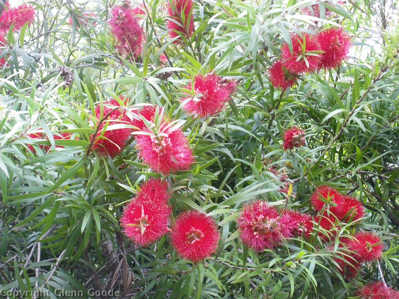imgp4559