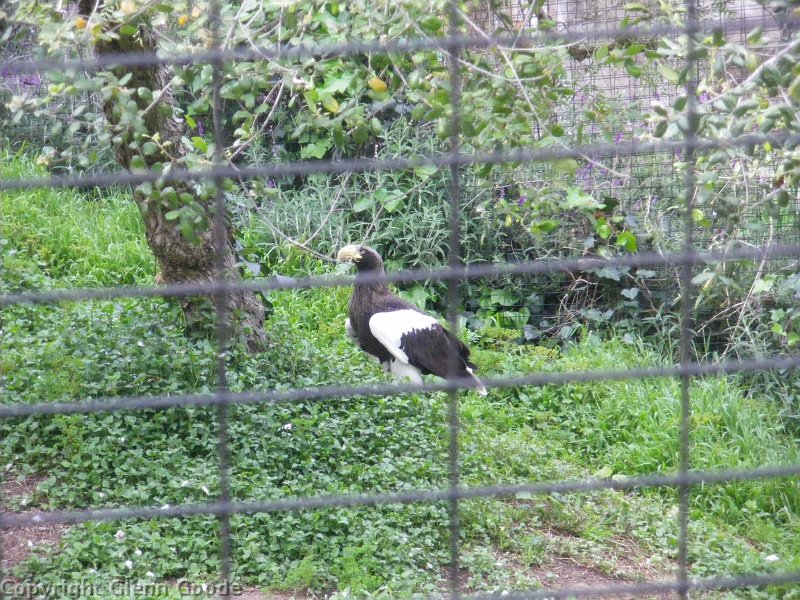 imgp4563