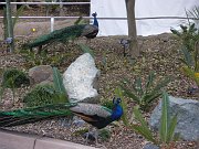 imgp4637