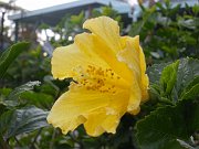 imgp4643