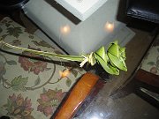 imgp4657