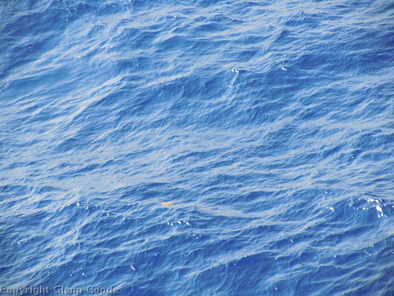 dscn0347