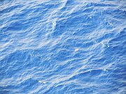 dscn0352