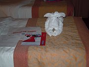 dscn0354