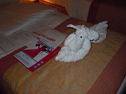 dscn0355