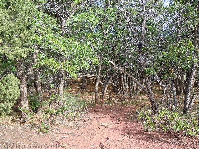 dscn0604