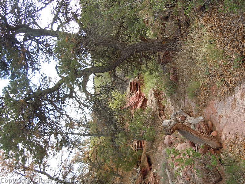 dscn0623