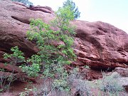 dscn0619
