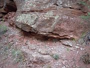 dscn0622