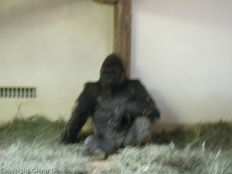 DSCN0712