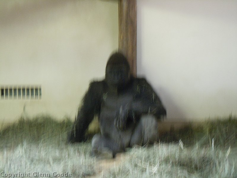 DSCN0713